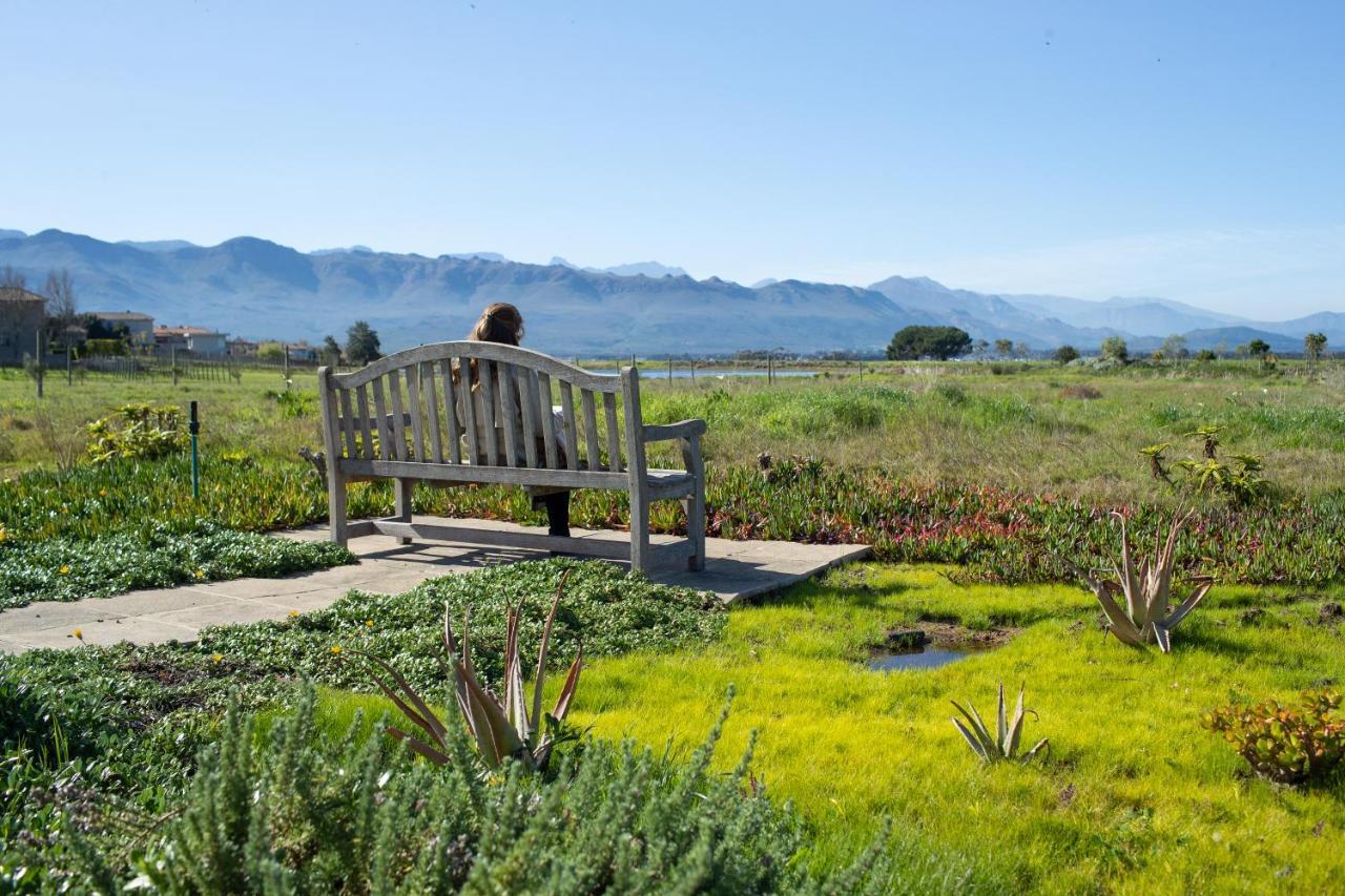 Santé Wellness Retreat&Spa Paarl Extérieur photo